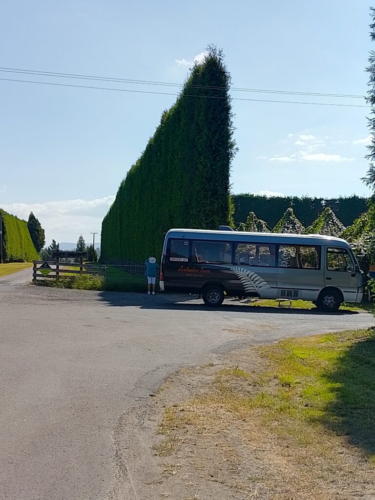 Croquet Travel Club - New Zealand Cruise Package - improve croquet skills on holiday